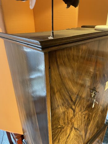 Wortelnoot fineer kast