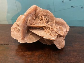 woestijnroos fossiel