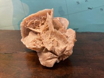 woestijnroos fossiel